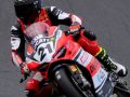 TROY BAYLISS